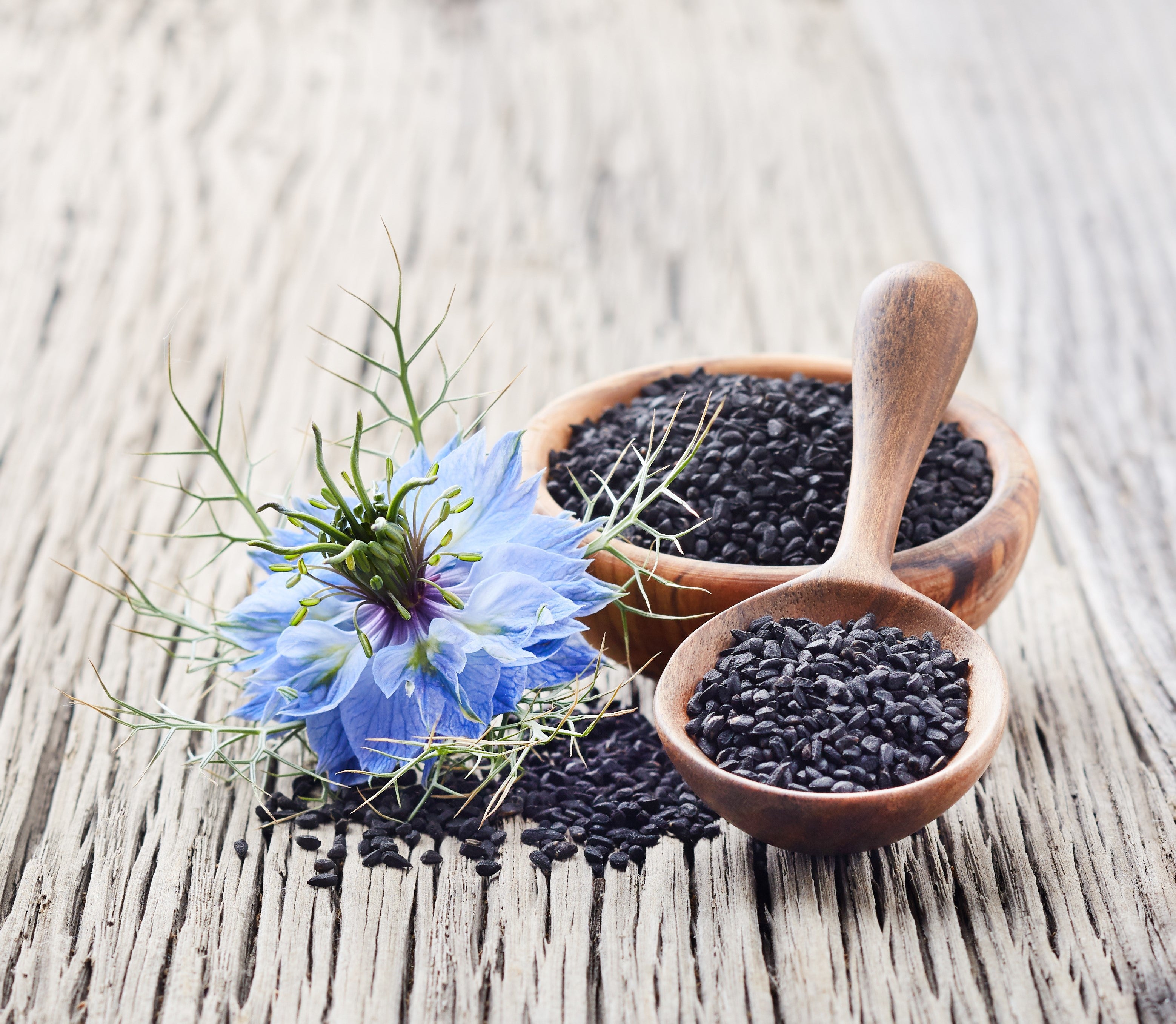 Black seeds (Nigella sativa) - tiny seeds with unique health-promoting properties