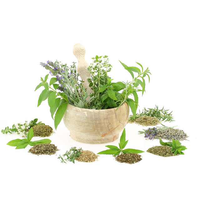 Why Use Bio Herbs Products? Benefits, Quality & Sustainability ...